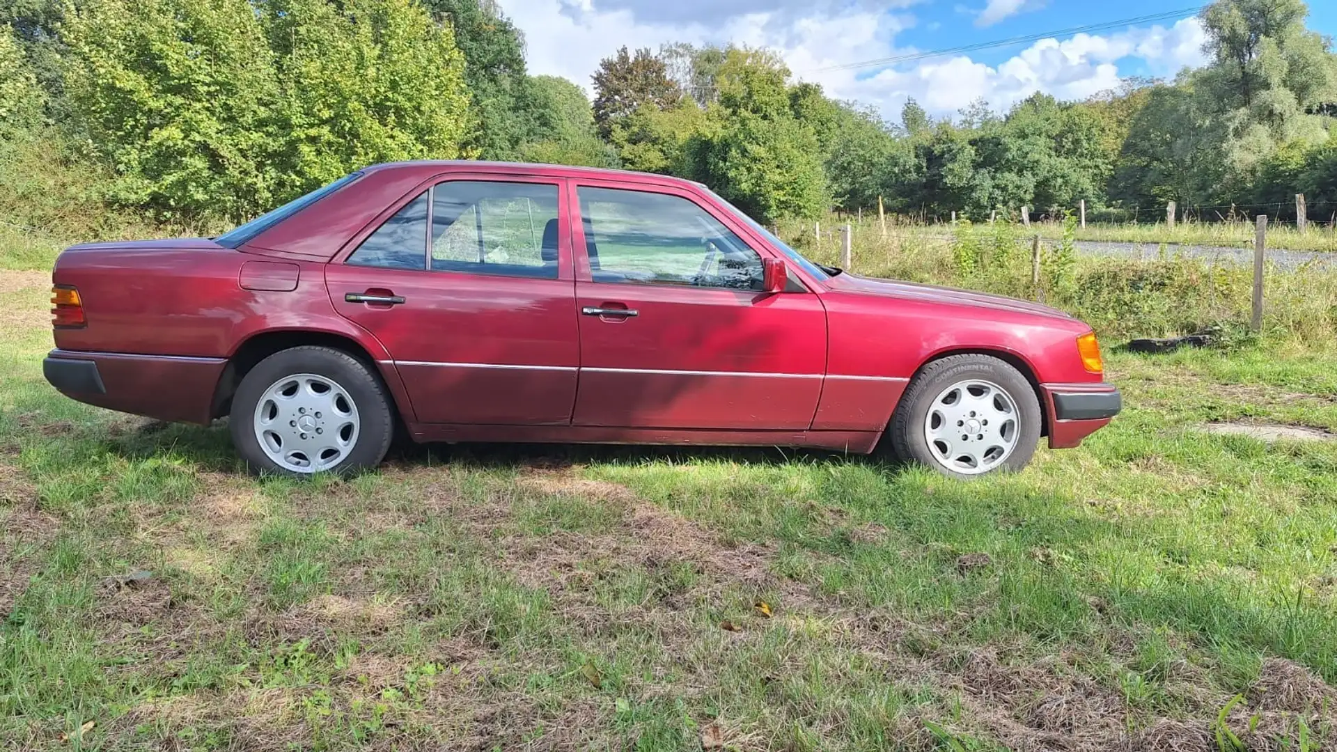 Mercedes-Benz 220 - 2