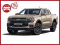 Ford Ranger Doppelkabine Platinum e-4WD 3,0 EcoBlue Aut. | ... Silver - thumbnail 1