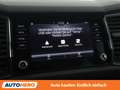 Skoda Kodiaq 2.0 TDI Ambition 4x4 Blau - thumbnail 23