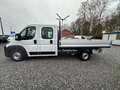 Fiat Ducato BENNE 2.2 Multijet DOUBLE CABINE 7 PLACES Blanc - thumbnail 8