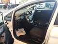 Ford Fiesta 5p 1.0 ecoboost Titanium 100cv Blanc - thumbnail 11