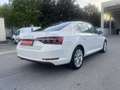 Skoda Superb 2,0 TDI Style DSG / DRIVING ASISST / NAVI / LED... Weiß - thumbnail 6