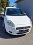 Fiat Punto Weiß - thumbnail 1