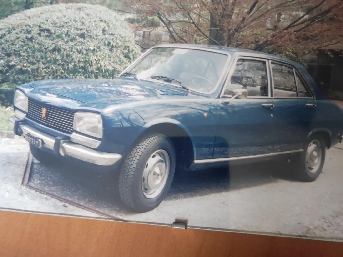 Peugeot 504 Blauw - 1