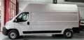 Fiat Ducato Fg. 35 2.2Mjt L3 H3 Easy Pro 140CV Blanco - thumbnail 6
