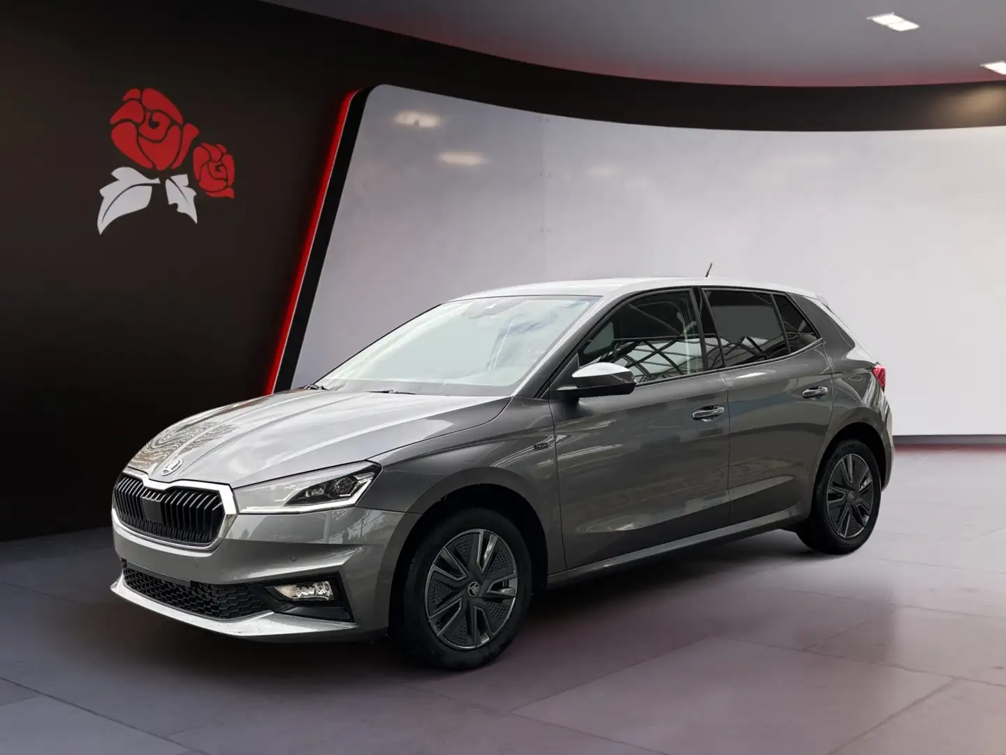 Skoda Fabia Tour Winter Plus Grijs - 1