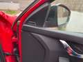 Skoda Octavia Octavia Combi 2.0TDI RS Rojo - thumbnail 9