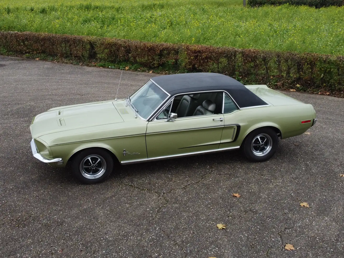 Ford Mustang 390ci V8, S-Code, Top-Ausst., Top-Historie, rar! Vert - 1