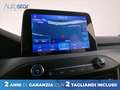 Ford Focus 1.0 ecoboost h ST-Line Style 125cv Blu/Azzurro - thumbnail 15
