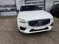 Volvo XC60 B4 R-Design AWD Geartronic Weiß - thumbnail 3