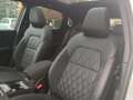 Nissan Qashqai 1.3 mhev Tekna+ 158cv xtronic - NOVINCOLI FINANZ - Bianco - thumbnail 14