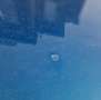 Citroen C4 Cactus C4 Cactus 1.2 PureTech Shine Albastru - thumbnail 10