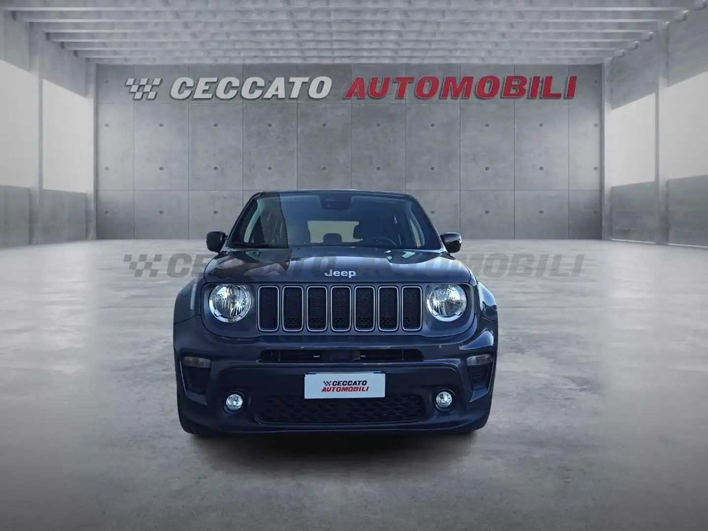 Jeep Renegade Renegade 1.0 t3 Limited 2wd Grijs - 2