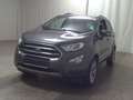 Ford EcoSport 1.0 EB Titanium Leder Navi RfK Shz PDC Gris - thumbnail 2