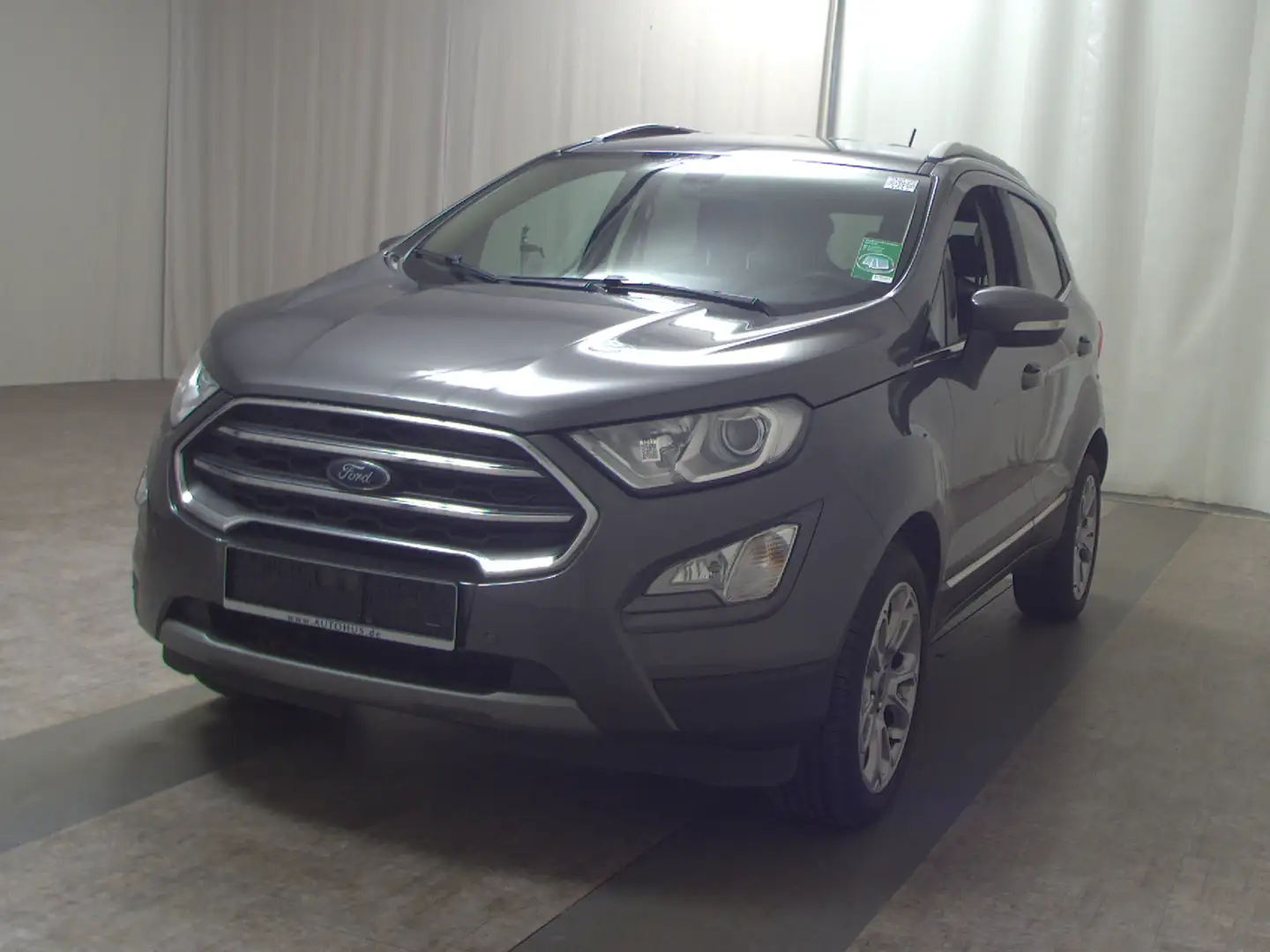 Ford EcoSport 1.0 EB Titanium Leder Navi RfK Shz PDC Gris - 2