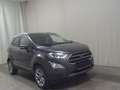 Ford EcoSport 1.0 EB Titanium Leder Navi RfK Shz PDC Gris - thumbnail 3