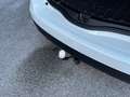 Renault Scenic BOSE Edition Weiß - thumbnail 31