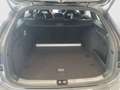 Volkswagen Passat Variant R-Line TDI 4MOTION DSG Grau - thumbnail 13