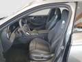 Volkswagen Passat Variant R-Line TDI 4MOTION DSG Grau - thumbnail 9