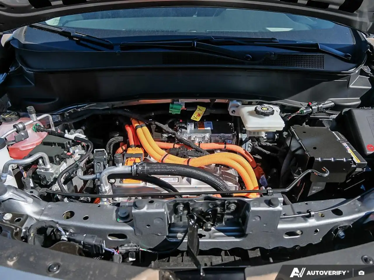 Chevrolet Bolt fotografie Chevrolet Bolt