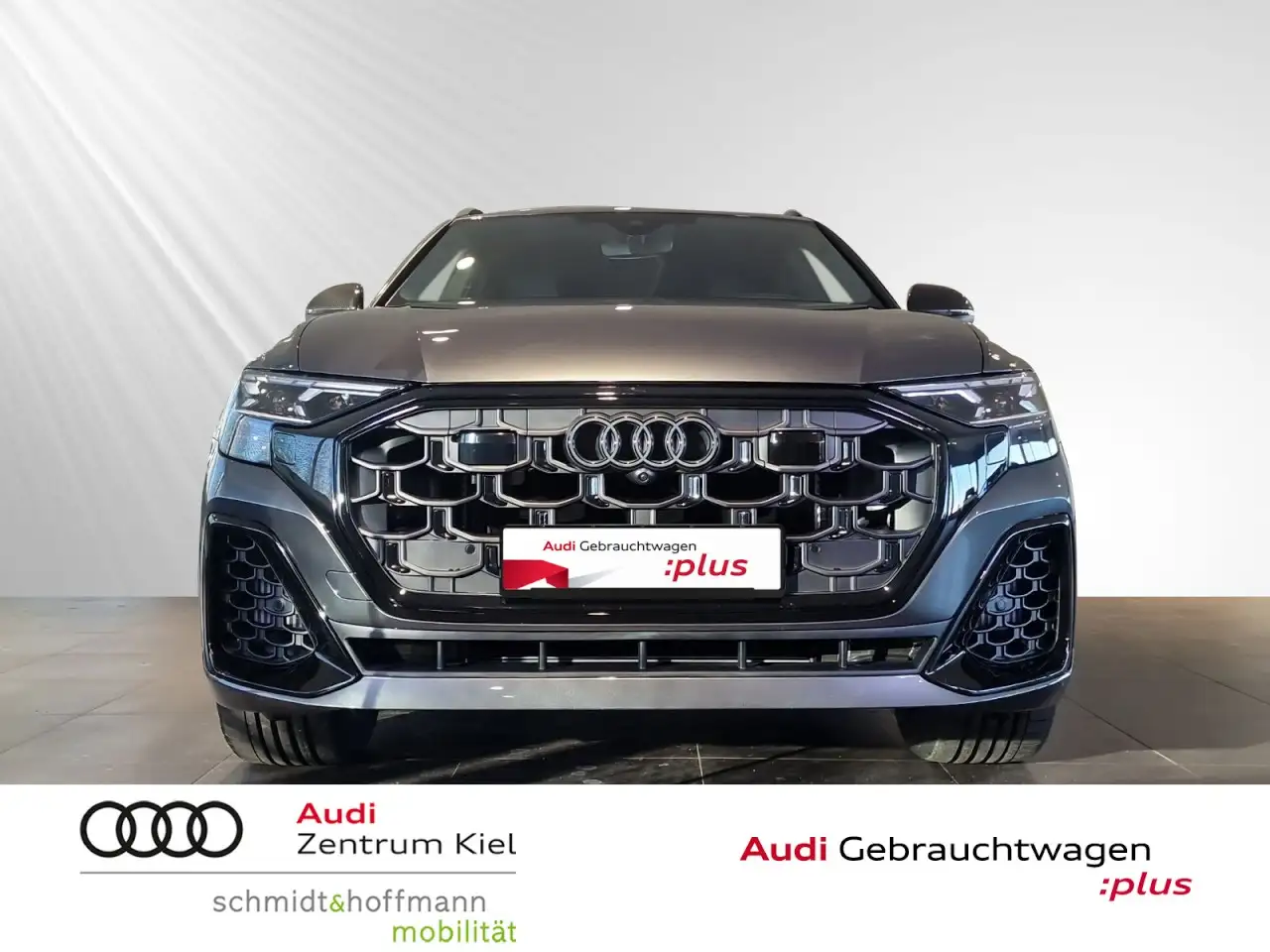 Audi Q8 TFSI e quattro S-line business tiptronic Klima 2
