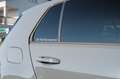 Volkswagen Golf GTI Golf GTI TCR OPF 2,0TSI DSG /AKRA/PANO/RFK/LED/ACC Grau - thumbnail 12