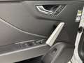 Audi Q2 35 TFSI Advanced ed. | Arrow Gray | Camera | LED M Gris - thumbnail 10