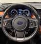 Subaru OUTBACK 2.5i Lineartronic Premium TETTO / PREZZO REALE Blauw - thumbnail 15