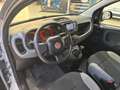 Fiat Panda Panda 1.0 FireFly S&S Hybrid City Life Grigio - thumbnail 6