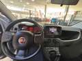 Fiat Panda Panda 1.0 FireFly S&S Hybrid City Life Grigio - thumbnail 8