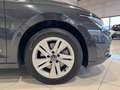 Volkswagen Golf Variant 2.0 TDI 116 CV Life PARK ASSIST ADAS PRONTA Grigio - thumbnail 22