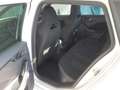 Skoda Kamiq 1.0 G-Tec Style Dynamic, Navi, Sedili risc, Retroc Blanc - thumbnail 9