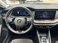 Skoda Octavia Combi Scout 2.0 TDI DSG 4x4 Navi Canton Blau - thumbnail 14