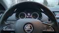 Skoda Octavia Style Automatik ACC PDC 16'' AppleCarplay Silber - thumbnail 23
