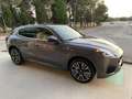 Maserati Grecale Grecale MHEV 2.0 300 CV GT ''SOLI 15516 KM''. Grigio - thumbnail 3