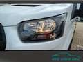 Ford Transit FT350 L4H3 DoKa Trend 4J Garantie Sync4 Alb - thumbnail 3
