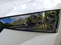 Skoda Scala 1.0TSI COOL PLUS LED+APP+DAB+SHZ+PDC+KLIMA Weiß - thumbnail 15