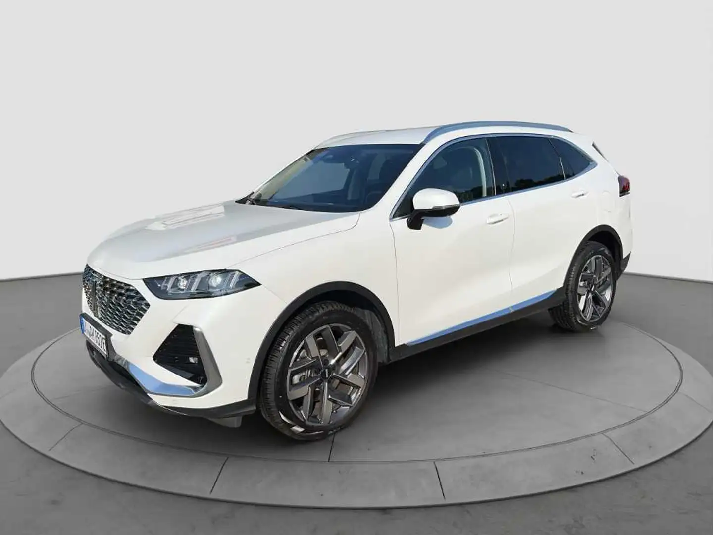 GWM WEY 03 Luxury 2WD/2t Anhängl./130 km el.Reichw. bijela - 2