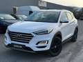 Hyundai TUCSON Tucson 4WD Aut. Level4/AHV/Keyless/Kamera/Facelift Weiß - thumbnail 1