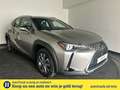 Lexus UX 300e Business Line 73 kWh | Nieuwprijs € 55.100,00, 45% Gris - thumbnail 1