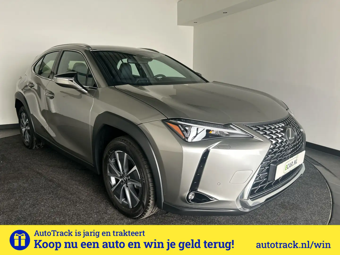 Lexus UX 300e Business Line 73 kWh | Nieuwprijs € 55.100,00, 45% Gris - 1