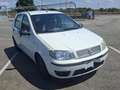Fiat Punto Blanc - thumbnail 1