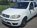 Fiat Punto Blanc - thumbnail 2