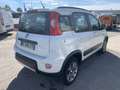 Fiat Panda 1.3 16V Multijet 75 ch S&S 4x4 Pop - thumbnail 3