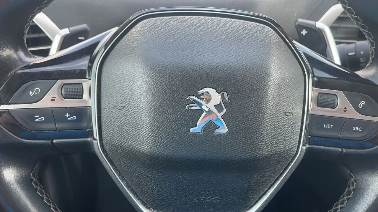 Peugeot 3008 3008 — photo 13
