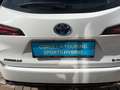Toyota Corolla Touring Sports 1,8 Hybrid Active Businesspaket Weiß - thumbnail 18
