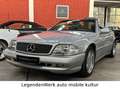 Mercedes-Benz SL 60 AMG SL60 AMG Original 957 TECHNIK 772 OPTIK 415 PANO Silber - thumbnail 1