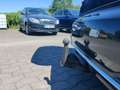 Audi A5 40 TFSI quattro Advanced AHK ACC Gris - thumbnail 14