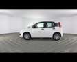 Fiat Panda 1.0 FireFly Hybrid Weiß - thumbnail 16
