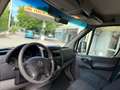Mercedes-Benz Sprinter 2.2 163CV, PORTATA 1050KG - PREZZO + IVA! Bianco - thumbnail 9